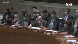 聯合國安理會就烏克蘭局勢召開緊急會議