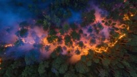 FILE - An aerial view shows a forest fire in Krasnoyarsk Region, in Siberia, Russia July 17, 2020. (Julia Petrenko/Greenpeace/Handout via Reuters)