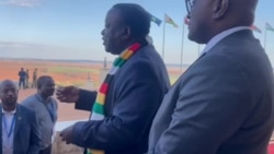 Victor Matemadanda: Abakhonona Ngempumela Yokhetho eMozambique Abatshengisela Emigwaqweni Yizigebengu