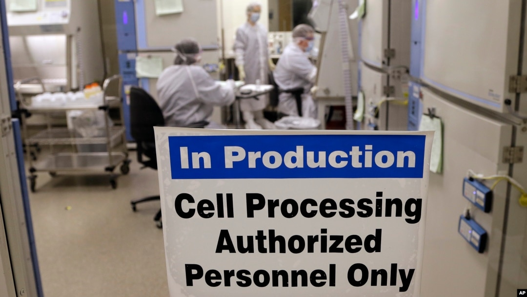 FILE - A photo shows the cell processing facility at the Fred Hutchinson Cancer Research Center where workers create customized cellular immunotherapies for patients, in Seattle, Washington, March 29, 2017.