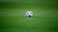 FILE - A soccer ball is seen on the pitch before kick off between Borussia Dortmund and Sporting Lisbon, Feb. 11, 2016. 