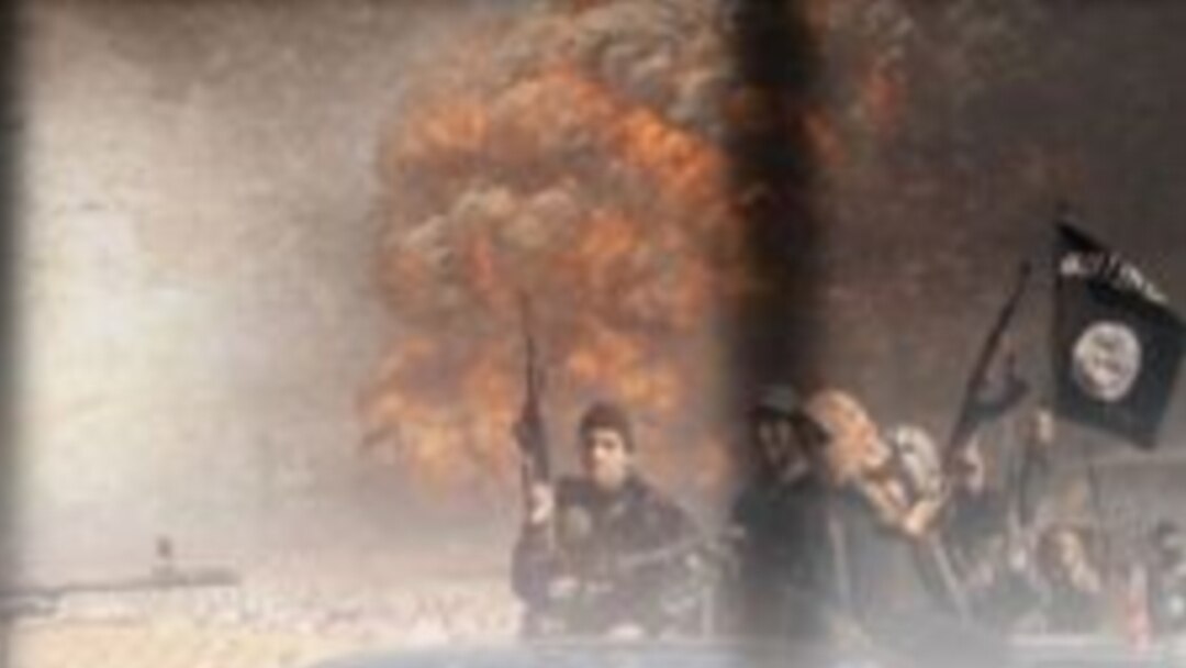 Yupqa belli katta eshaklar fotosuratlari