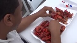 Mùa tôm hùm đất bắt đầu ở Texas