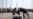 N. Korea: Talks With South 'All but Scrapped'