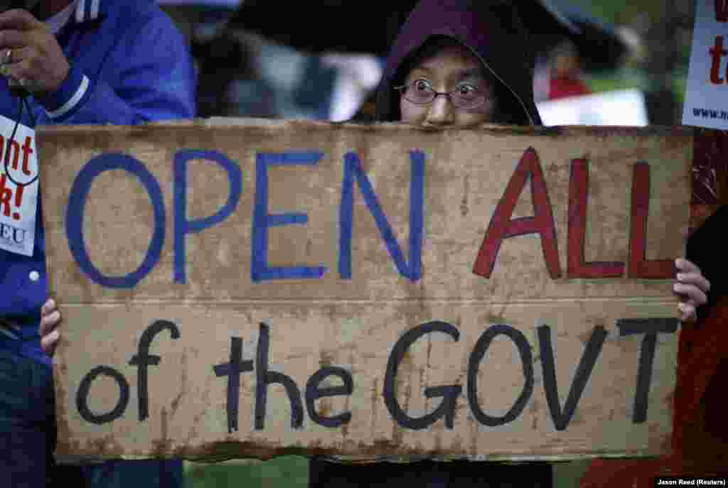 Manifestante pede fim à paralisação do governo dos EUA no Capitólio, em Washington.