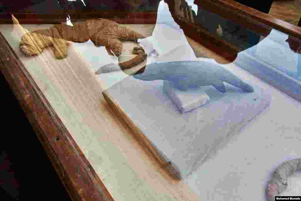 Wooden statue of an ichneumon (Egyptian mongoose), and two mummies of the same animal wrapped in linen bandages, all are dating to the Late Period (664-332 B.C.). (H. Elrasam/VOA) 