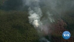 Brazil's Ambassador Defends Brazilian Response to Amazon Fires