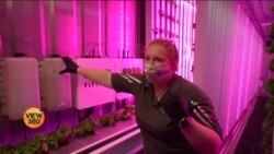 امریکہ کا سدا بہار ہائی ٹیک فارم