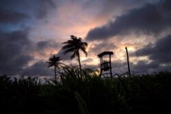 El viento mueve la hierba y las palmeras bajo un cielo nublado tras el paso de la tormenta tropical Elsa en La Habana, Cuba, el lunes 5 de julio de 2021. (Foto AP / Ramón Espinosa)