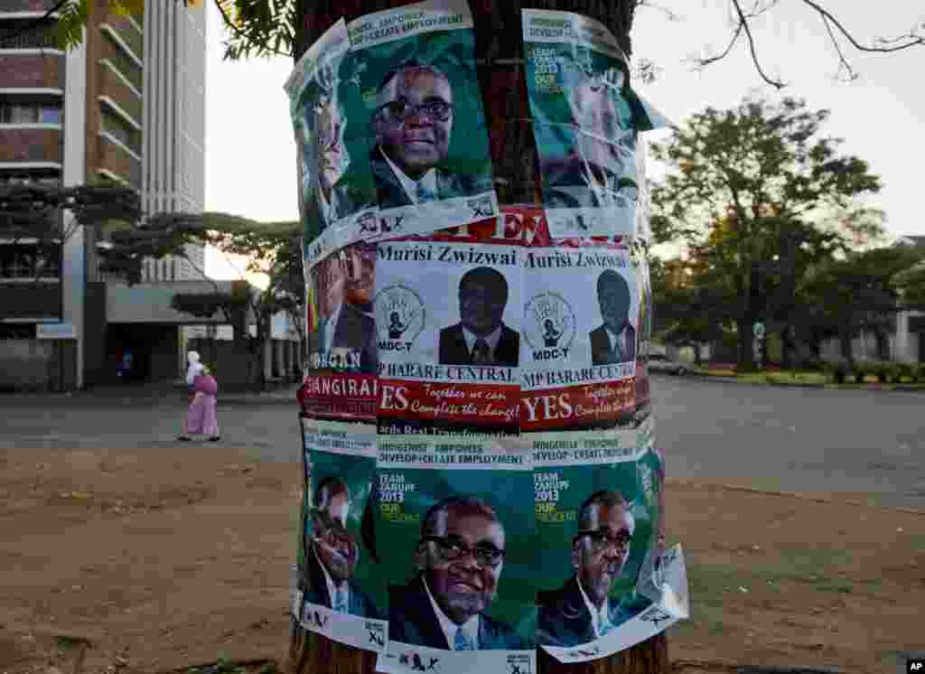 Election posters in support of Zimbabwean president Robert Mugabe, top and bottom, and Morgan Tsvangirai, prime minister and leader of the Movement for Democratic Change (MDC) center left, and MDC legislator Murisi Zwizwai, center, on a tree on the eve of elections in Zimbabwe on July 30, 2013.