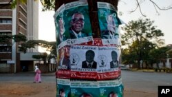 Election posters in support of Zimabwean president Robert Mugabe (top) and Prime Minister Morgan Tsvangirai (center left) and MDC legislator Murisi Zwizwai (center) on a tree on the eve of Zimbabwe's national elections, July 30, 2013, in Harare. 