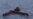 20 African Migrants Found Dead Off Tunisian Coast