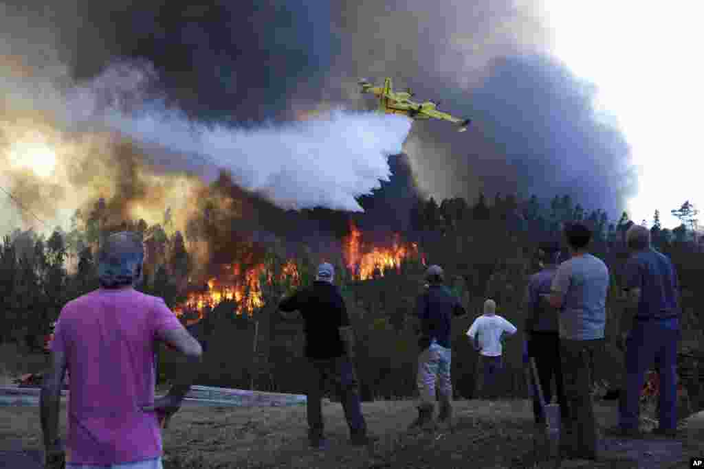 Villagers watch a firefighting plane drop water on a forest wildfire near their houses in the village of Chao de Codes, near Macao, central Portugal.