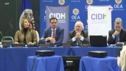 Niegan ingreso de CIDH a Venezuela