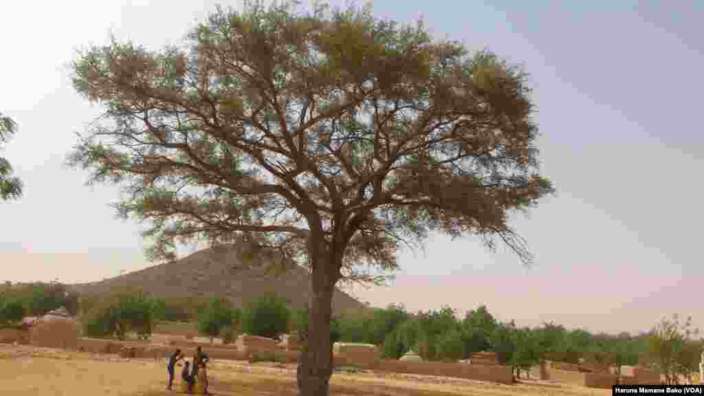 Bikin Matsafan Jamhuriyar Nijar