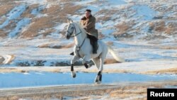 朝鲜领导人金正恩骑白马登上朝鲜最高山峰