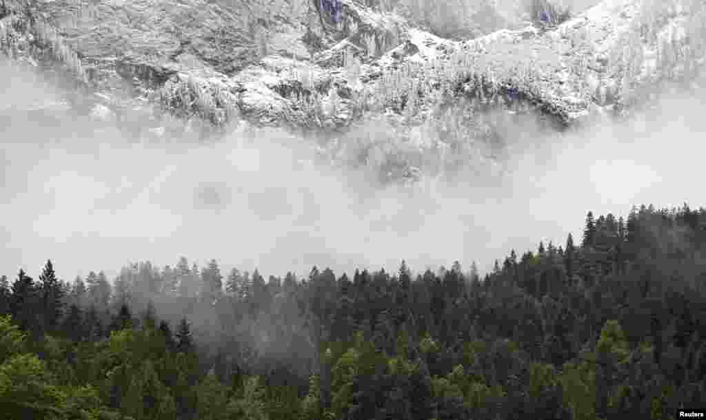 A view of fresh snow above a mountain forest near the summit of the Zugspitze near Garmisch-Partenkirchen, Germany.