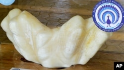 This photo provided by Puerto Princesa Tourism Office, shows a giant pearl measuring 30cm wide (1ft), 67cm long (2.2ft) and weighing 34kg (75lb) is displayed in the lobby of the Puerto Princesa City Hall in Puerto Princesa city, Palawan province in southwestern Philippines Thursday, Aug. 25, 2016.