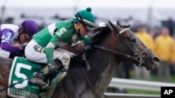 Eventual winner Exaggerator with Kent Desormeaux aboard moves past Nyquist and jockey Mario Gutierrez during the 141st Preakness Stakes horse race at Pimlico Race Course in Baltimore, May 21, 2016.