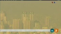 اخبار شامگاهی