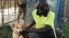 Francis Okello Oloya, founder of The Comfort Dog Project, interacts with Binongo in Gulu, Uganda.