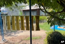 FILE - Cotton thread used for making the Japanese traditional craft of Sanuki Kagari Temari in Kawaramachi hang to dry in Kawaramachi, on Sept. 5, 2024. (AP Photo/Yuri Kageyama)