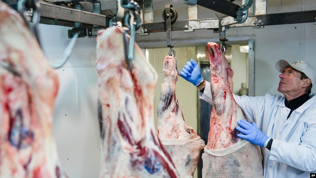 Džon Džobagi pokazuje govedinu u frižideru svoje kompanije u "Mesarskom kvartu" u Njujorku, 19. novembra 2024. (Foto:AP/Julia Demaree Nikhinson)