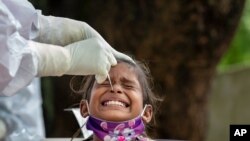 7일 인도 바글리에서 보건 관계자가 어린 소녀로부터 신종 코로나바이러스 검사를 위한 검체를 채취하고 있다.