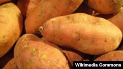 Khoai lang (ảnh minh họa).