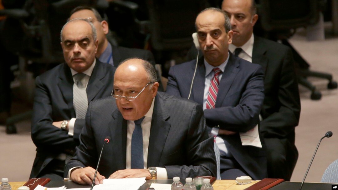Menteri Luar Negeri Mesir Sameh Shoukry berbicara di pertemuan Dewan Keamanan PBB mengenai situasi di Libya (18/2). (AP/Mary Altaffer)