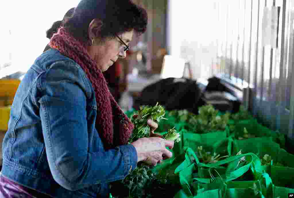EcoCity Founder and CEO Margaret Morgan-Hubbard bags vegetables for CSA members who have purchased weekly shares in the winter harvest. (Alison Klein/VOA)