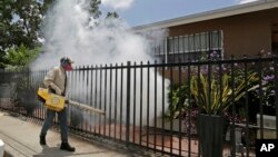 FILE - A Miami-Dade County mosquito-control worker sprays around a home in the Wynwood area of Miami, Aug. 1, 2016. 