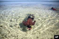 FILE - A student takes part in a guided snorkel lesson led by marine biologist Jean Wiener at Caracol Bay near Cap-Haitien, Haiti, Wednesday, March 9, 2022. (AP Photo/Odelyn Joseph)
