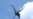 Florida Man Installs Wind Turbine on His Property