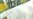 Sudden Infant Death Tied to Brain Chemical