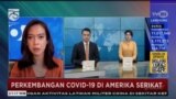 Perkembangan Covid-19 di Amerika Serikat