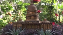 Washington Monuments Bloom at Botanic Garden