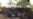 Group: Nigeria Must Negotiate Release of 195 Chibok Girls