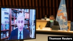 دکتر آنتونی فاوچی در جلسه تصویری با سازمان بهداشت جهانی