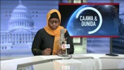 Caawa iyo Dunida