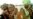 Over 1 Million in Guinea Get Meningitis Vaccine
