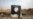 Supporters Begin Flocking to New Islamic State Leader