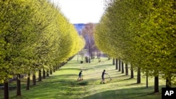 FILE - In this April 11, 2018, file photo, two boys push their scooters through a park with green blossoming trees in Frankfurt, Germany. When you weigh all life on Earth, billions of humans don’t amount to much compared to trees, earthworms or even viruses, according to a study in the Monday, May 21, 2018, Proceedings of the National Academy of Sciences. (AP Photo/Michael Probst, File)