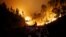 Firefighters work to put out a forest fire near Bouca, in central Portugal, June 18, 2017. 