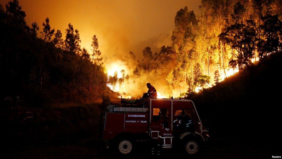 Kebakarn hutan di dekat kota Bouca, Portugal tengah, Minggu (18/6).