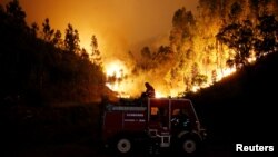 Kebakarn hutan di dekat kota Bouca, Portugal tengah, Minggu (18/6).