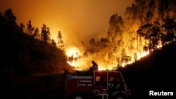 Incendie de forêt dans le cenre du Portugal, près de Bouca, le 18 juin 2017.