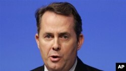 British Defense Secretary Liam Fox (file photo)