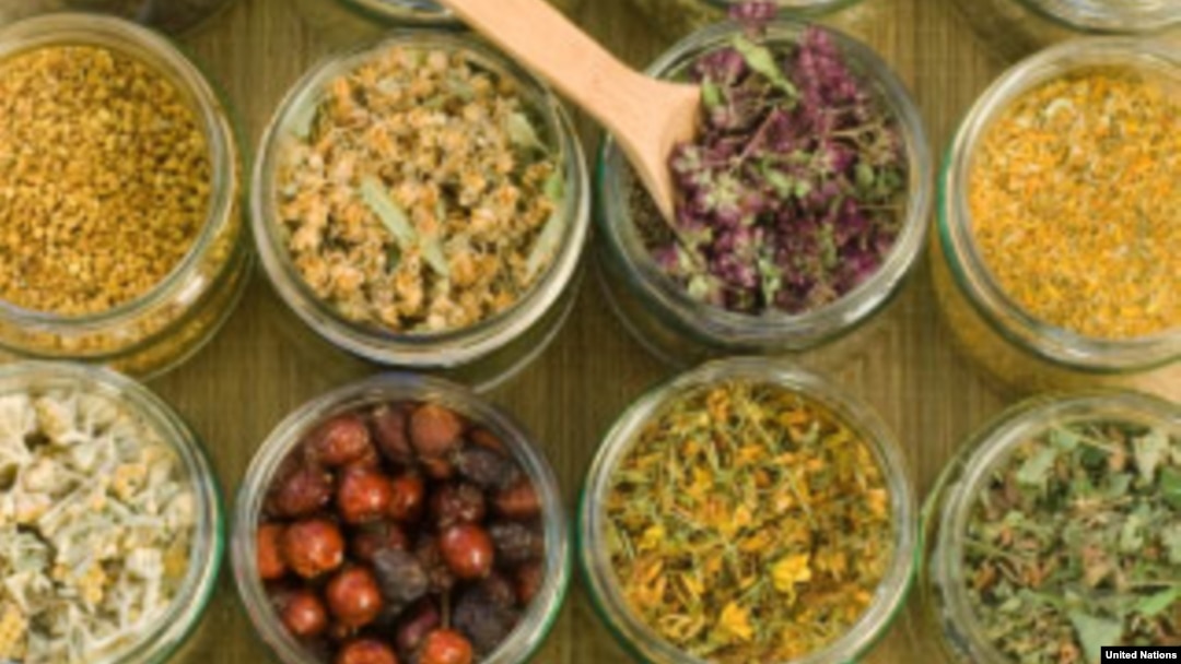 Sejumlah obat herbal. Sebuah penelitian mengatakan senyawa asam aristolochic yang terdapat pada tanaman birthwart kemungkinan menyebabkan kanker kandung kemih.