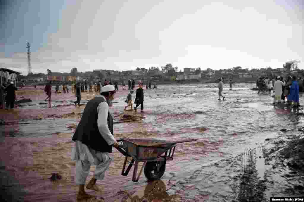 پاکستان کے شمال مغربی صوبہ خیبرپختونخواہ، گلگت بلتستان میں جاری شدید بارشوں کے نتیجے میں اب تک 50 افراد ہلاک ہو گئے ہیں۔